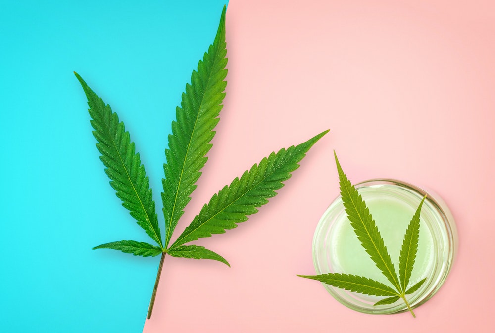 La législation sur les bonbons CBD : une perspective internationale